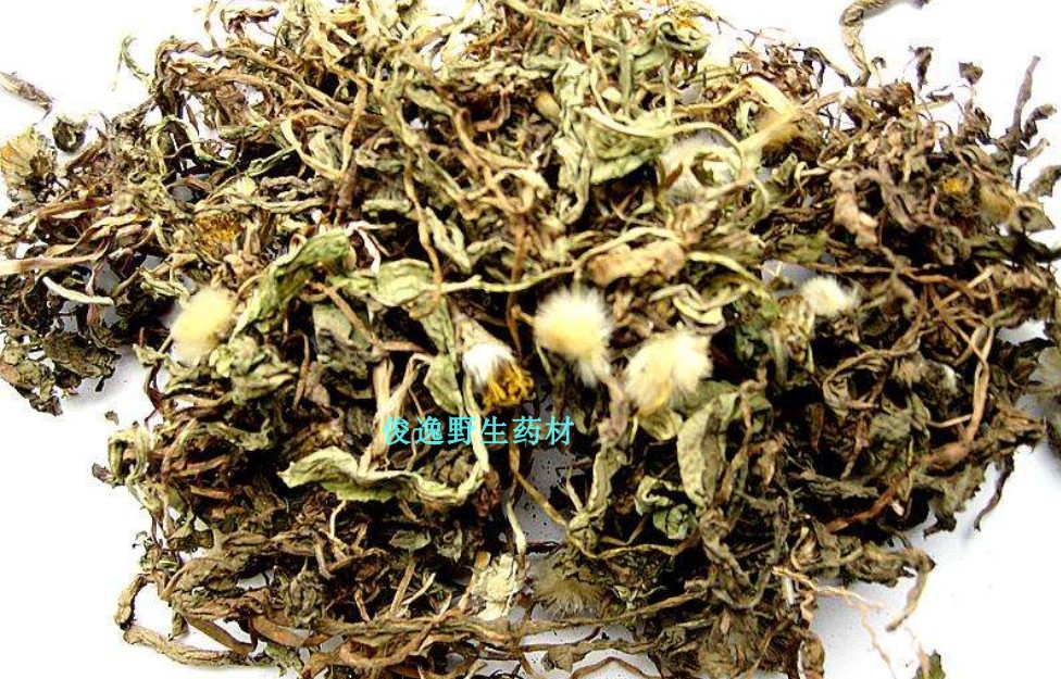 纯正中草药蒲公英 蒲公英茶 尿床草  去腻 干品新货500克