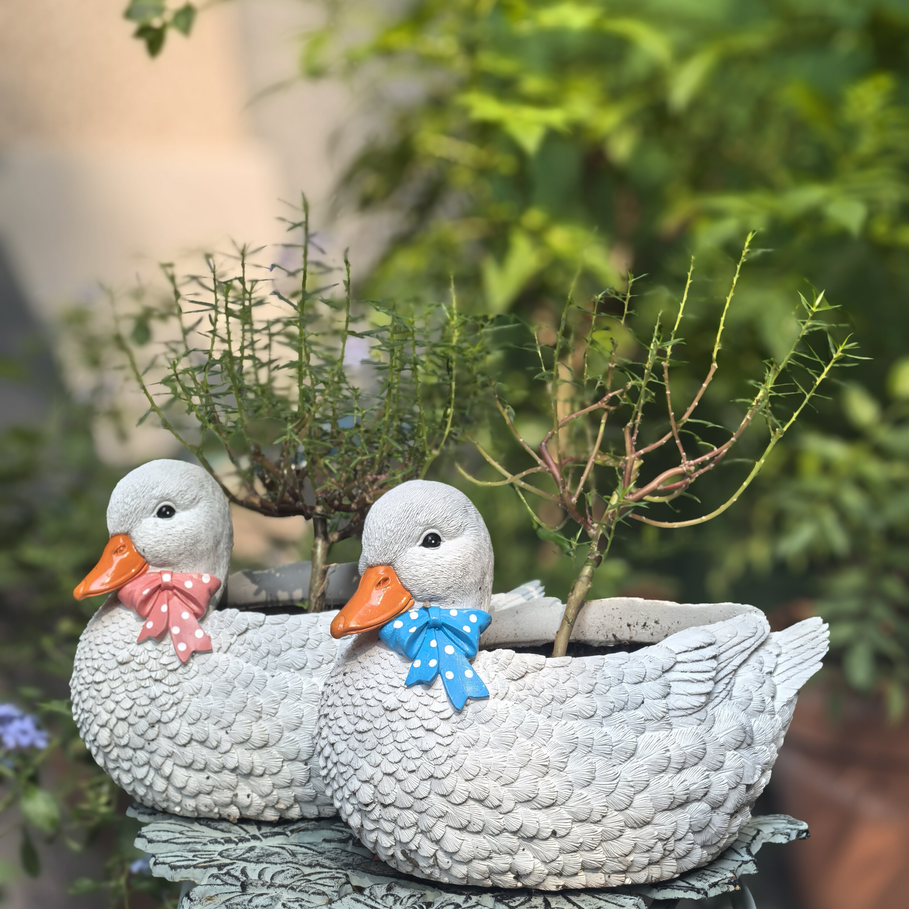 树脂柯尔鸭鸭子花盆摆件庭院摆件花盆花园装饰,家居饰品,户外/庭院摆件,淘宝优惠券,粉丝福利购,淘宝优惠卷