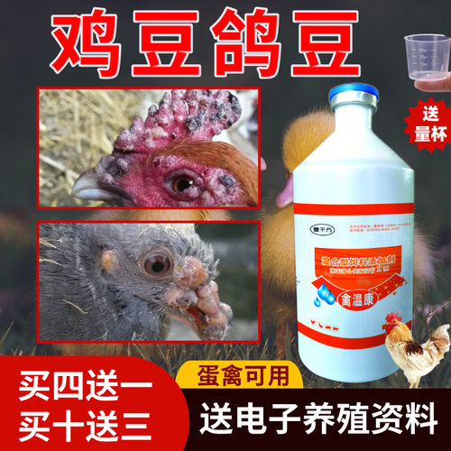 鸡鸽豆痘专用药不用诊断直接用