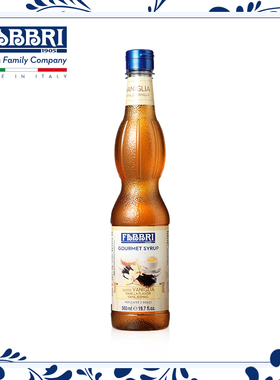 fabbri法布芮 香草糖浆意大利进口家用咖啡伴侣 560ml