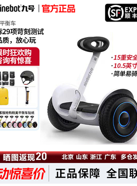 Ninebot九号平衡车L6/L8儿童mini小九迷你成人智能手扶电动体感车