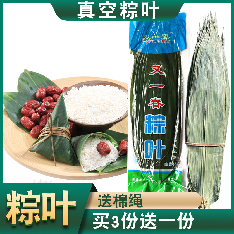 新鲜粽子叶包粽子的叶子 棕叶大粽子 农家种叶新鲜大片大号送棉线