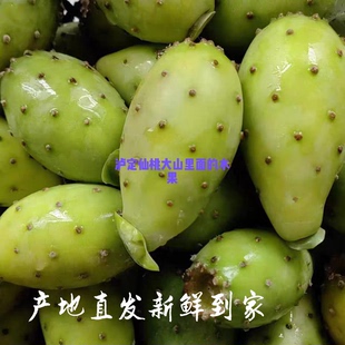 云南可食用仙人掌果绿心果实新鲜水果318自驾线路仙桃大果