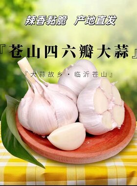26年鲜蒜苍山四六瓣大蒜鲜蒜头