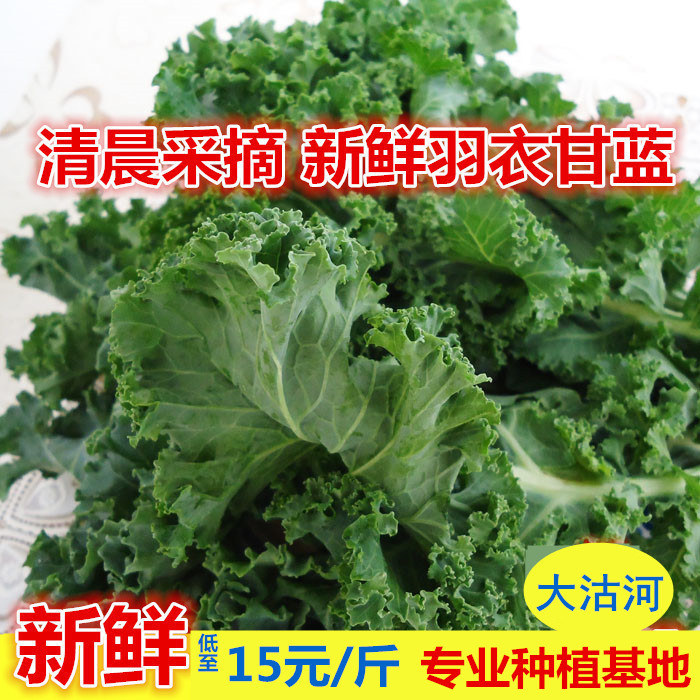 大兜虫生鲜 羽衣甘蓝新鲜蔬菜Kale1000g芥蓝西餐沙拉榨汁粗纤维 水产肉类/新鲜蔬果/熟食 叶菜类 原图主图