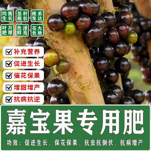 嘉宝果专用肥料挂果增甜氮磷高钾树树葡萄专用肥广东果树高产肥