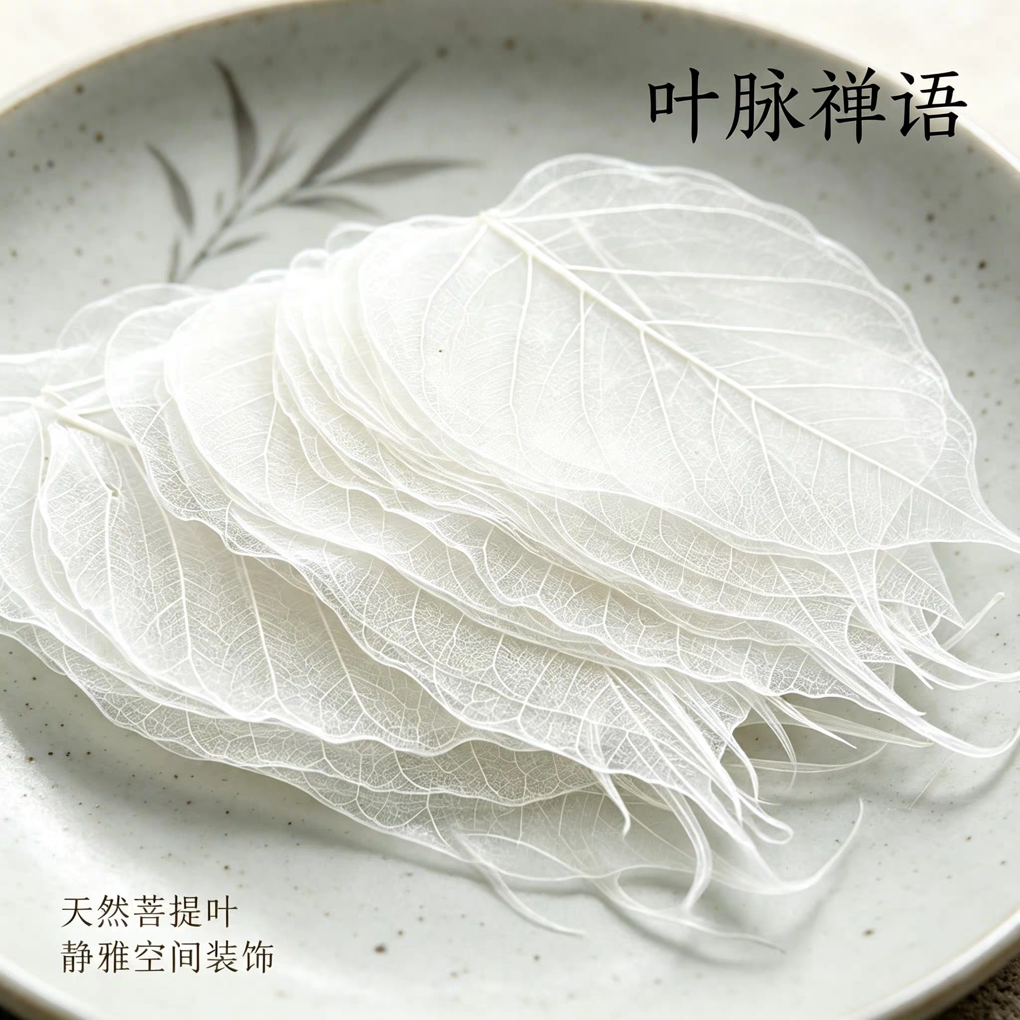 天然菩提叶脉真叶子 儿童教学植物标本 手工DIY画框装饰叶脉 散装