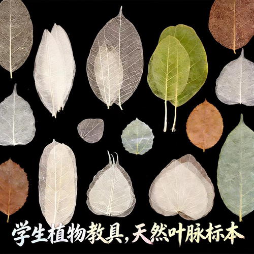 diy天然书签各种手工材料叶脉花