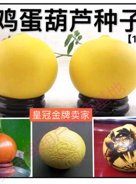 小葫芦鸡蛋葫芦种子籽手捻文玩大