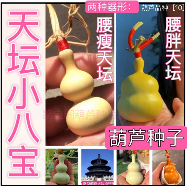 天坛小八宝葫芦种子籽手捻文玩