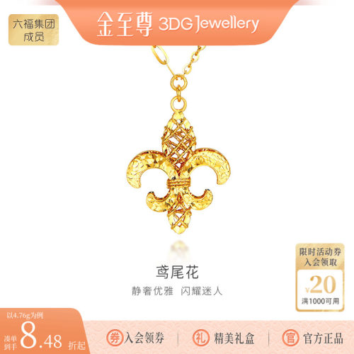 金至尊鸢尾花黄金项链新款硬足金项链生日礼物送老婆金链子锁骨链