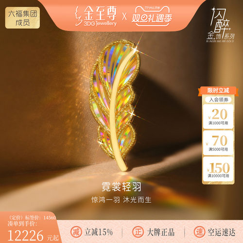 金至尊闪醉金黄金羽毛胸针2025新款炫彩幻彩金硬足金胸针圣诞礼物