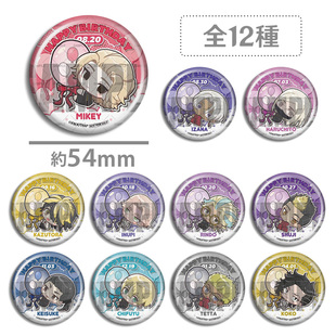 东京复仇者 2024生日糕特 吧唧 徽章 黑川伊佐那 佐野万次郎