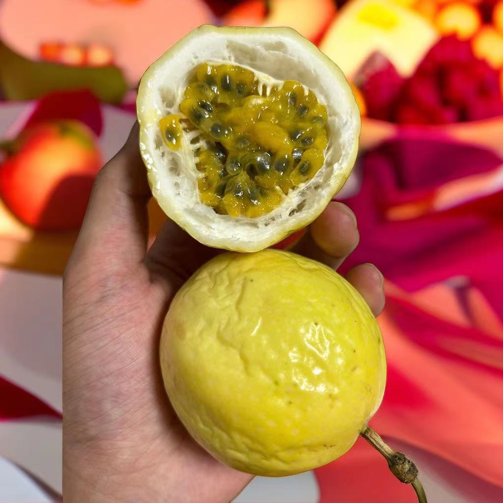 黄金百香果斑点钦蜜九号花皮顺丰