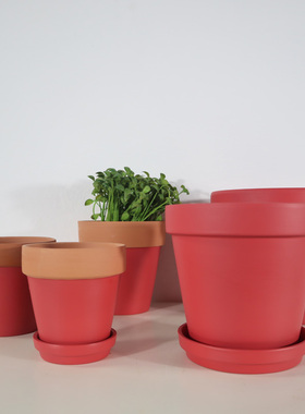 红色哑光红陶花盆北欧风格室内家用吊兰多肉绿萝陶瓷盆带托盘有孔