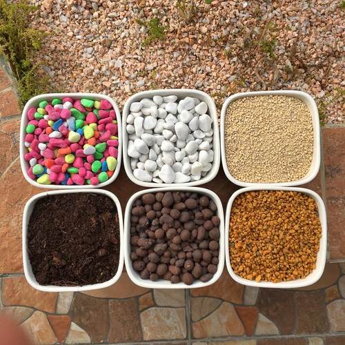 陶粒铺面石头植物种植多肉营养土