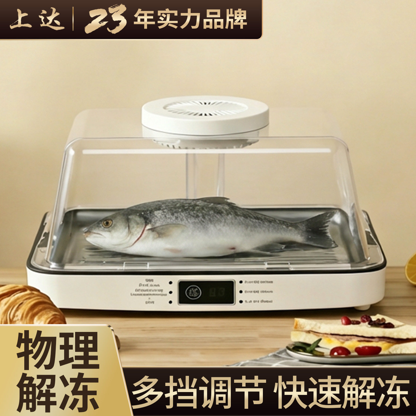 上达解冻神器家用肉类保鲜化冻肉类解冻器大容量导热板盘厨房神器,厨房/烹饪用具,导热盘/解冻盘,淘宝优惠券,粉丝福利购,淘宝优惠卷