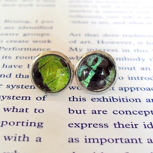 蝴蝶翅膀首饰银色复古耳钉耳饰一对太阳蛾标本原创纯手工制作饰品