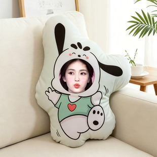 异形抱枕沙发靠垫照片定制白鹿卡通人形玩偶公仔头像朋友礼物周边
