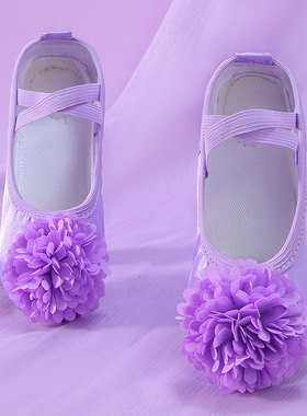 儿童舞蹈鞋女宝宝表演出紫色花朵芭蕾舞鞋猫爪鞋软底鞋练功鞋