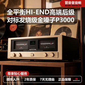 P3000大功率发烧平衡HIFI纯后级