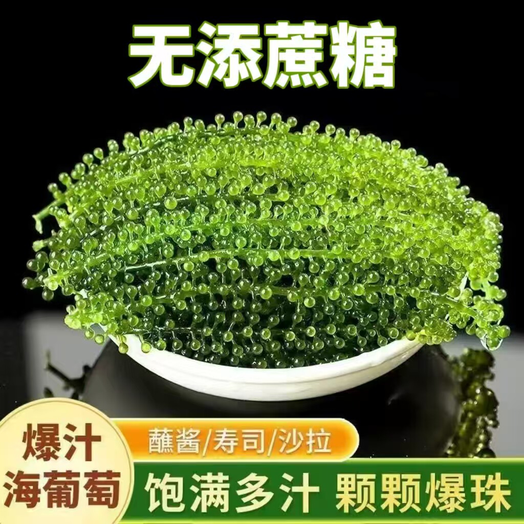 糖尿人专用零食品可以吃的无糖精海葡萄包老人儿童孕妇糖友饱腹品