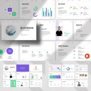 ppt模板商业项目流程业务品牌产品数字营销投资工作管理总结217