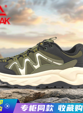 匹克态极征途4.0男女老爹鞋防滑软弹百搭加绒运动鞋ET44187G
