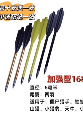 6mm山猫蝰蛇2羽168箭平羽铝杆混碳箭弓箭支射准练习箭天牛箭