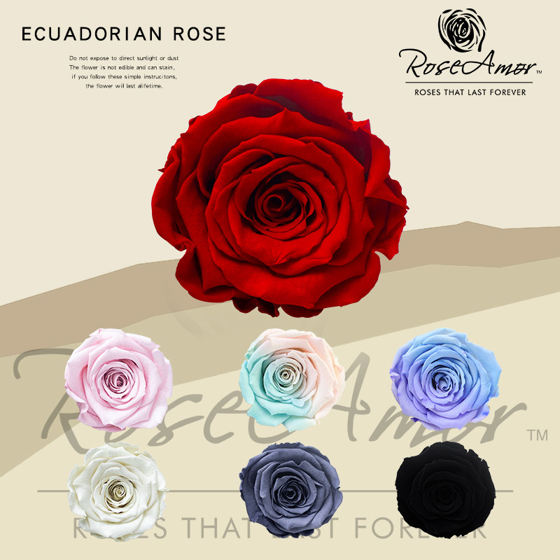 花纪永生花diy车挂玫瑰大号永生花厄瓜多尔进口roseamor5-6cm单朵,鲜花速递/花卉仿真/绿植园艺,仿真花,淘宝优惠券,粉丝福利购,淘宝优惠卷