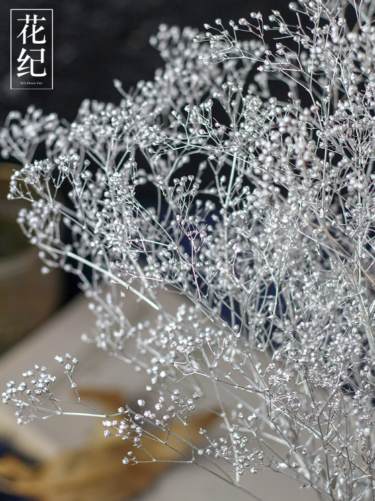 花纪永生花diy日本进口大地农园迷你满天星霞草银色满天星