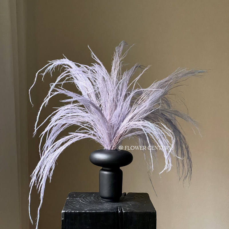 diy花束线条状花材龙须草