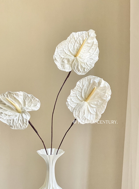 花纪进口大地农园05410家居装饰拍摄道具婚庆花艺永生花红掌