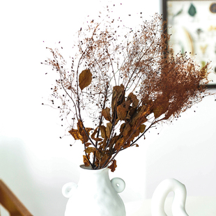 花纪永生花diy 民宿装饰橱窗美陈列道具迷雾草 ins黄栌迷雾中情人