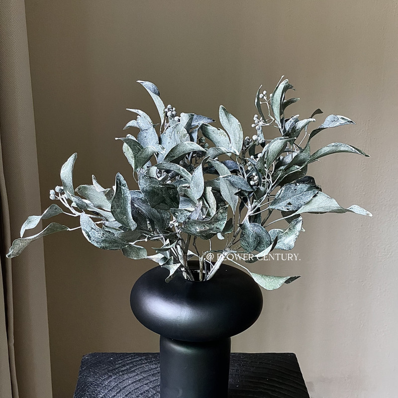 日本进口花纪永生花白欧石楠