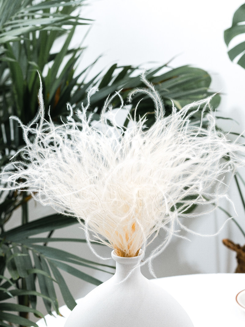 花纪永生花diy进口大地农园配花 仙气十足の细细的米白色羽毛草