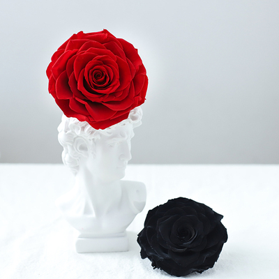 RoseAmor永生花厄瓜多尔厘米