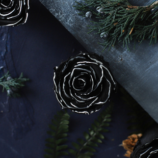 花纪永生花diy花材结婚团扇材料玫瑰花真花 黑银边和黑金边玫瑰