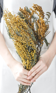 花纪diy文艺清新ins民宿陈列拍照道具永生花环花材进口干花金合欢