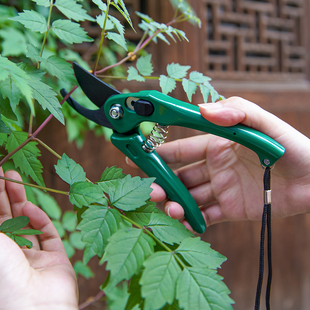 ECHO日本树枝修枝剪刀园艺采摘水果修花园林果树花卉枝嫁接工具