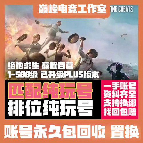 绝地求生账号排位号竞技号皮肤号