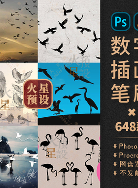 真实鸟类PS/Procreate笔刷飞鸟大雁候鸟白鹭海鸥剪影ABR/Brushset