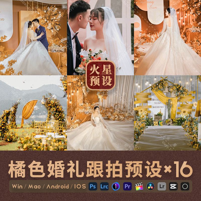 橘色婚礼跟拍lr预设清新户外室内人像ps滤镜pr/fcpx飞思lut调色