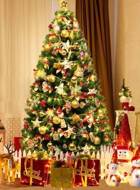圣诞树家用加密套餐1.2米8大型di1发光摆y.件2025新款圣诞节UHG装