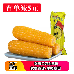 黄白甜糯玉米真空独立包装即食粗粮营养早餐张家口万全玉米棒