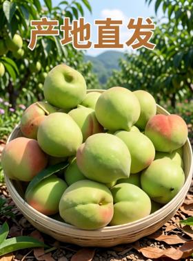 正宗翁源鹰嘴桃非连平送礼蜜甜桃子新鲜现摘现发孕妇水果整箱包邮