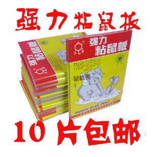 正品达豪超强力粘鼠板折叠灭鼠器捕鼠笼老鼠诱鼠器老鼠贴省内包邮