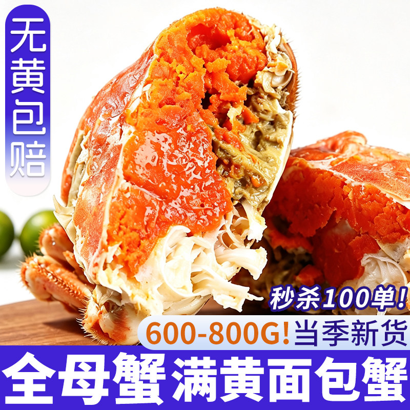 面包蟹鲜活特大母帝王蟹熟冻大螃蟹海蟹新鲜海鲜水产即食蟹珍宝蟹