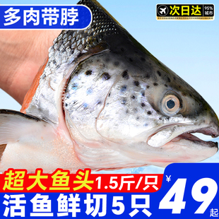 挪威三文鱼头新鲜冷冻超大深海鱼头三文鱼边角料人吃烧烤煲汤海鲜