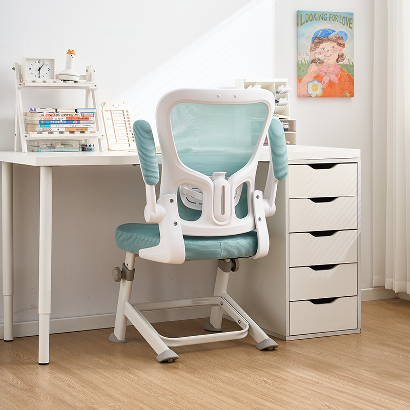 学习椅初高中生专用写字椅子家用舒适可升降人体工学书桌椅电脑椅